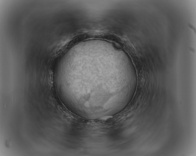 X0000090981301200708301240