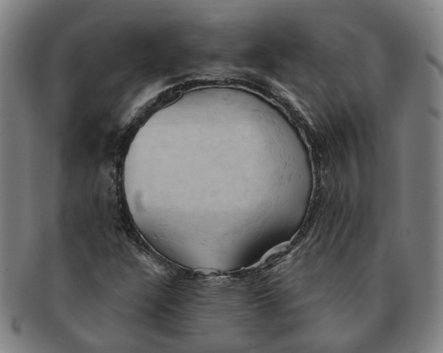 X0000090981304200708301240
