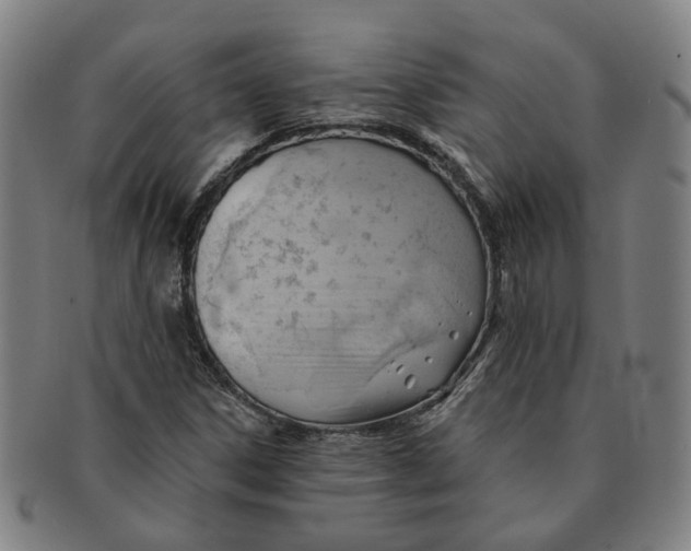 X0000090981306200708301240