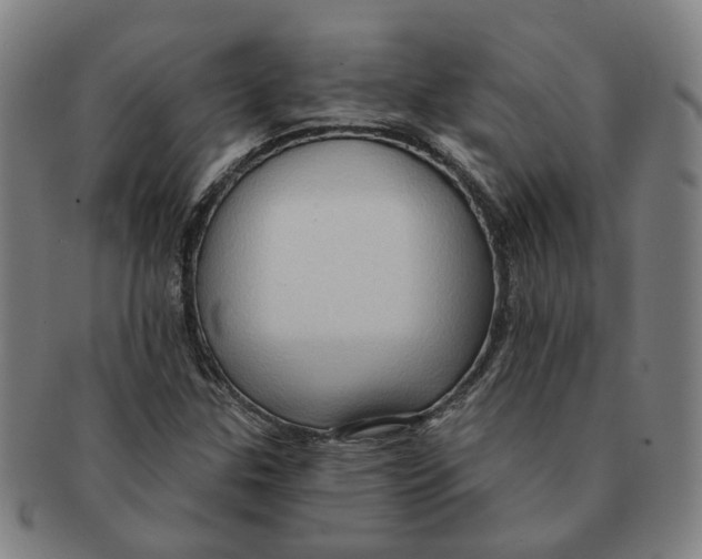 X0000090981307200708301240