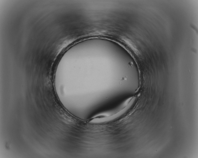 X0000090981308200708301240