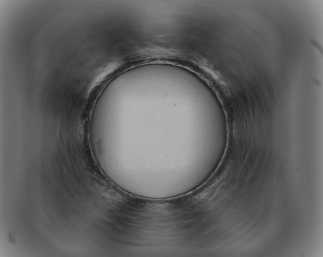 X0000090981309200708301240