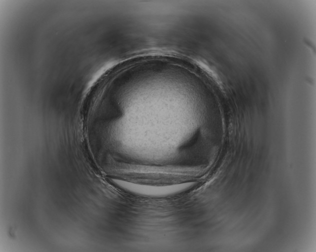 X0000090981310200708301240