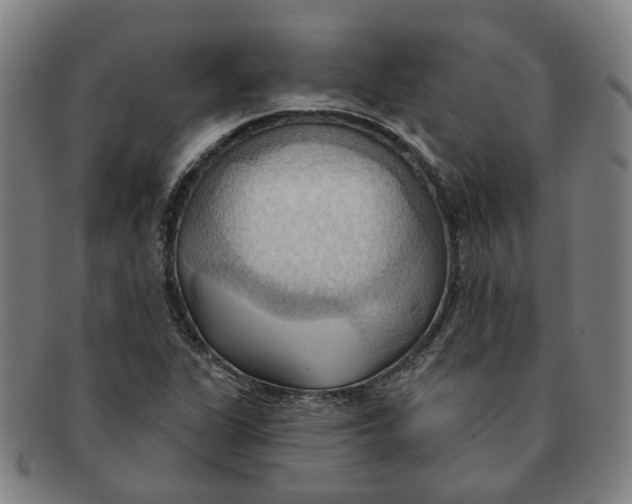 X0000090981311200708301240