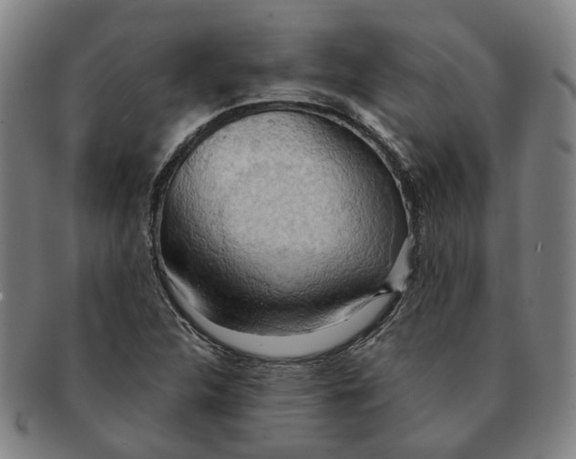 X0000090981312200708301240