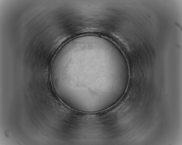 X0000090981313200708301240