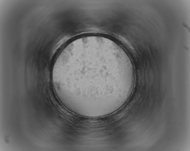 X0000090981318200708301240