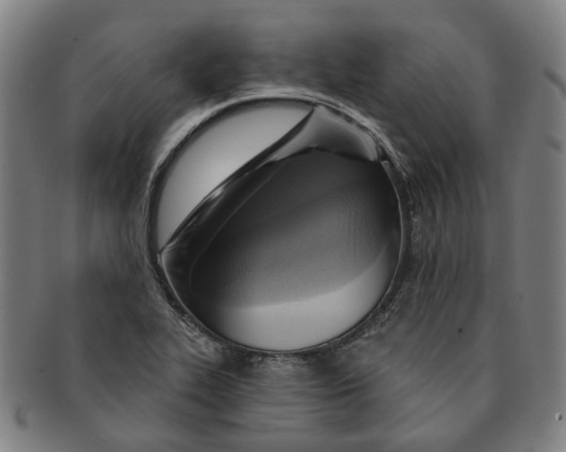 X0000090981319200708301240