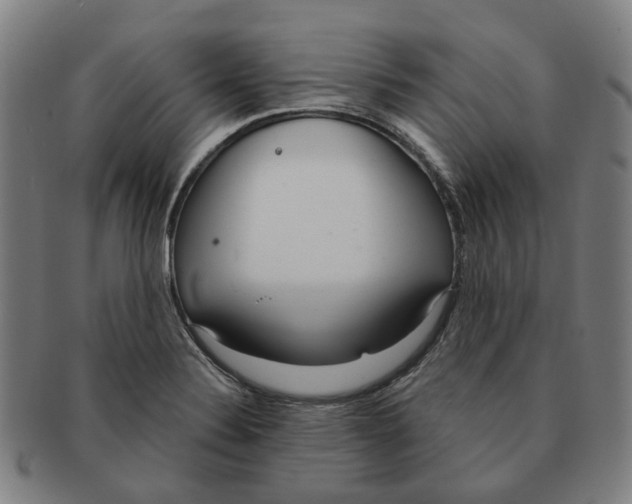 X0000090981324200708301240