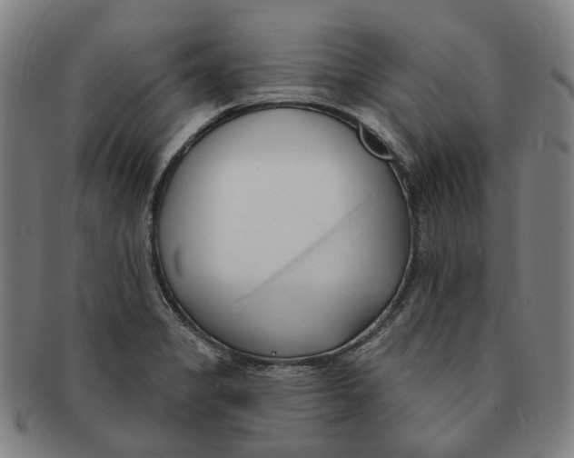 X0000090981325200708301240