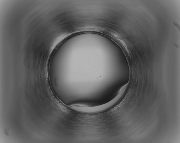X0000090981328200708301240