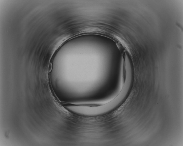 X0000090981330200708301240