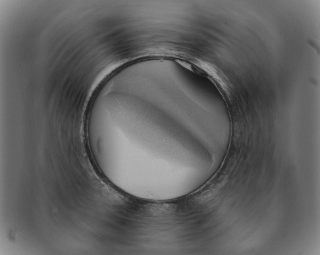 X0000090981331200708301240