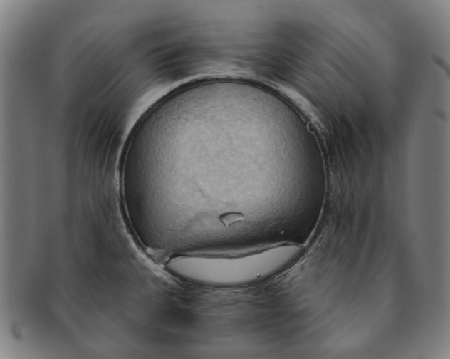 X0000090981335200708301240