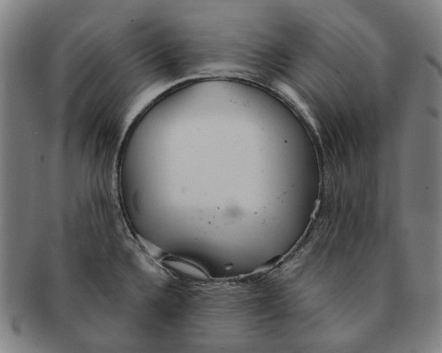 X0000090981336200708301240