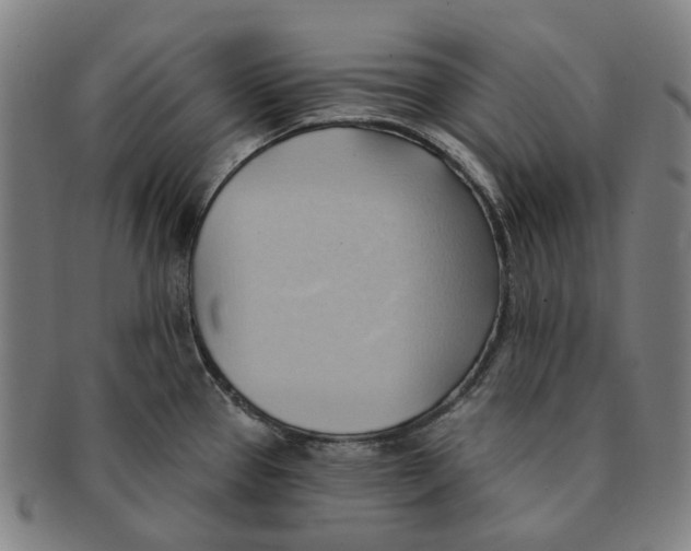 X0000090981337200708301240