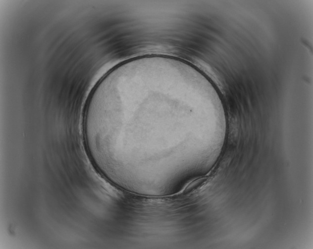 X0000090981339200708301240