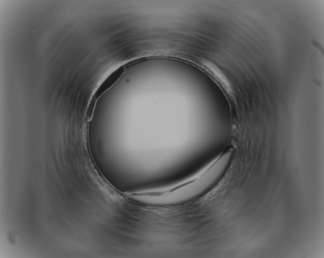 X0000090981340200708301240
