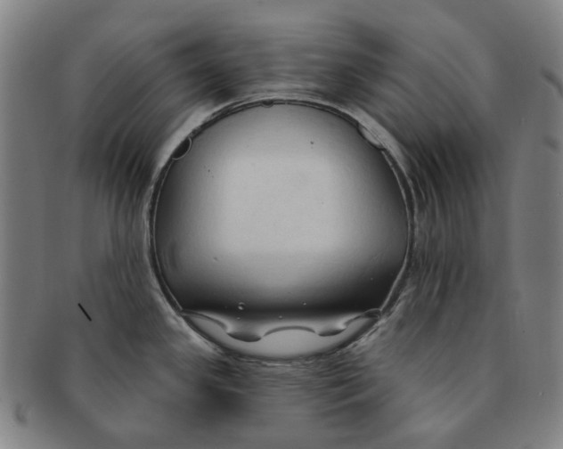 X0000090981341200708301240