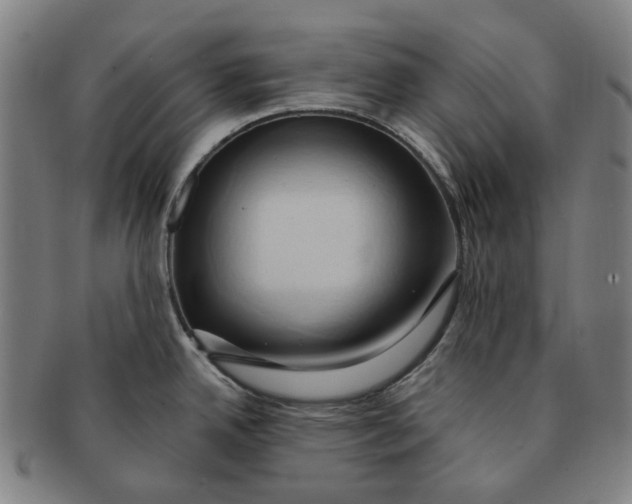 X0000090981342200708301240