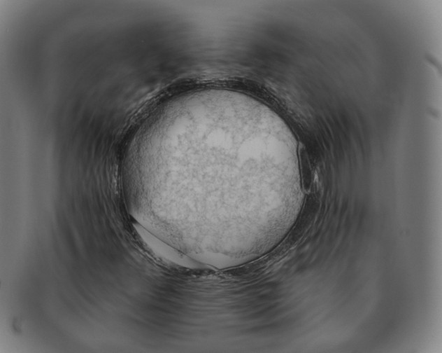 X0000090981348200708301239