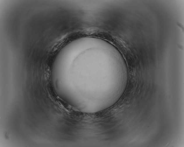 X0000090981349200708301239