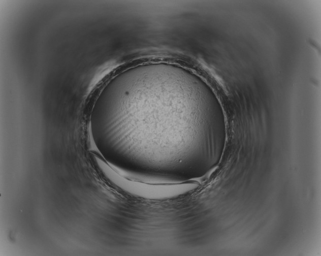 X0000090981352200708301239