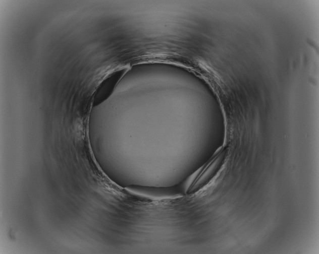 X0000090981353200708301239