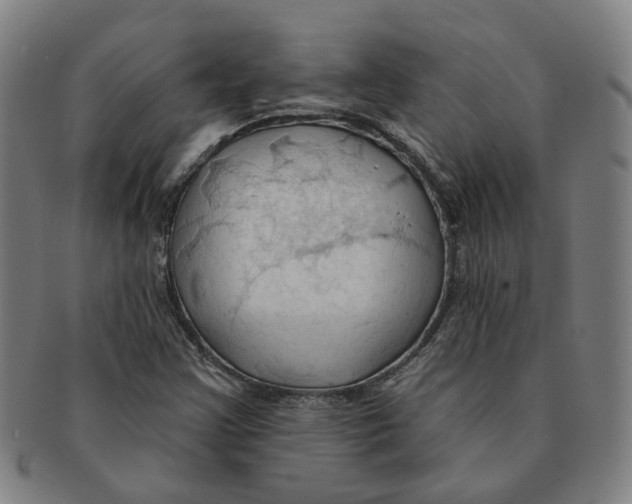 X0000090981355200708301239