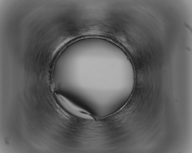 X0000090981356200708301239