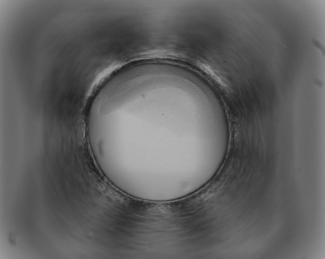 X0000090981358200708301239