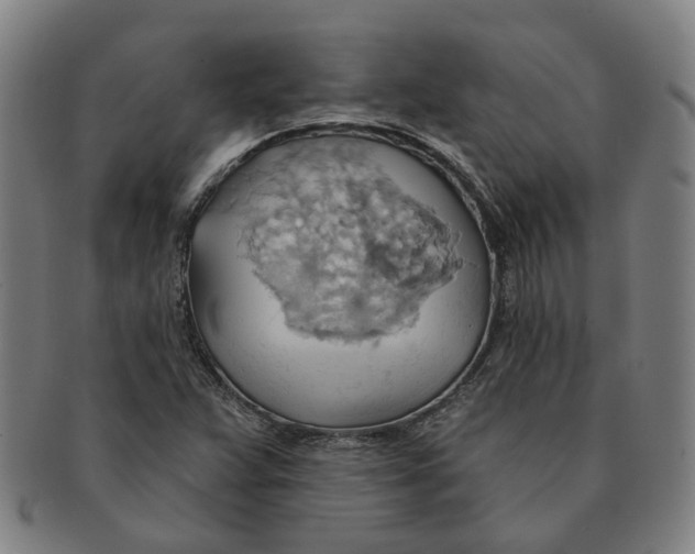 X0000090981359200708301239