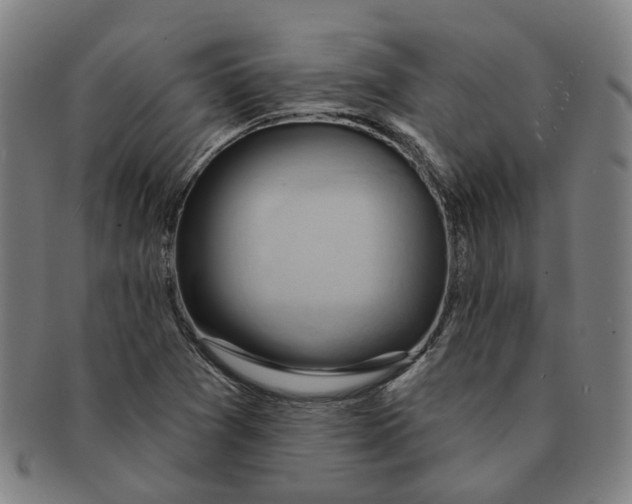 X0000090981361200708301239