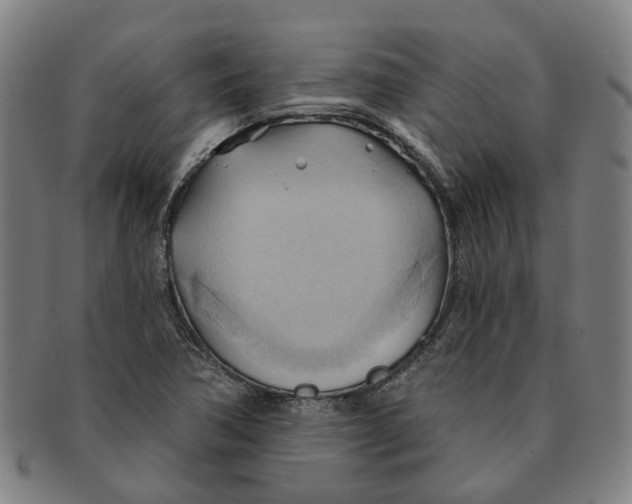X0000090981362200708301239