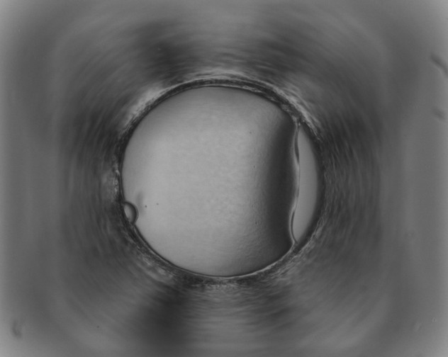 X0000090981363200708301239