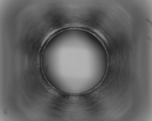 X0000090981364200708301239