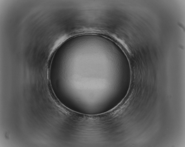 X0000090981365200708301239