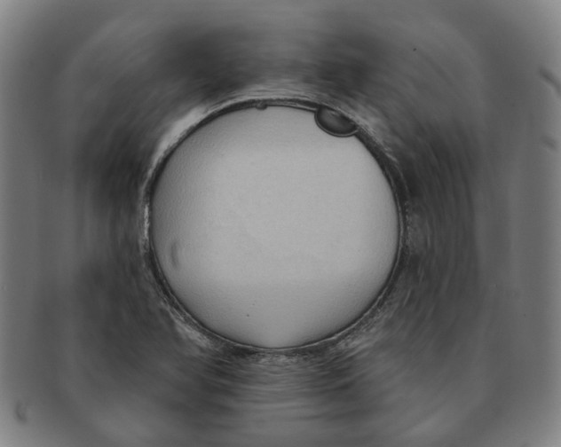 X0000090981366200708301239