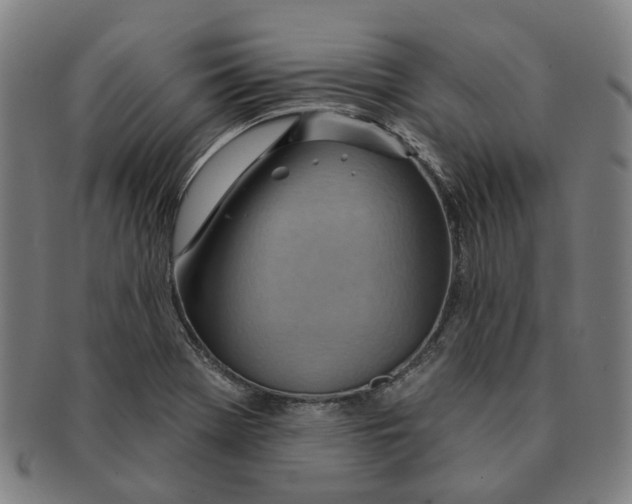 X0000090981369200708301239