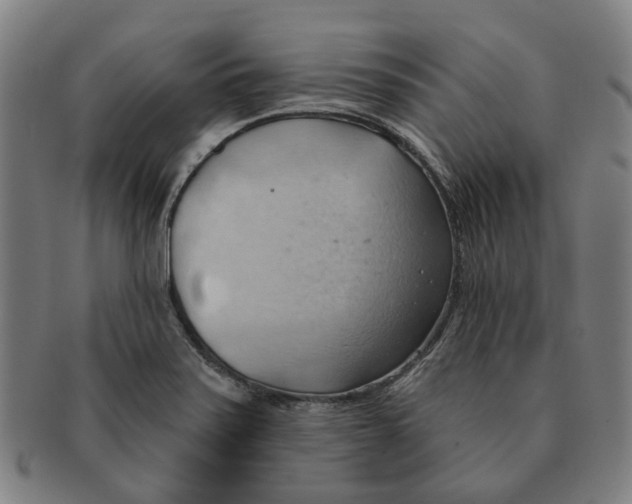 X0000090981371200708301239