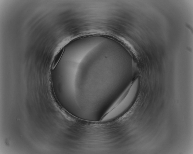 X0000090981373200708301239