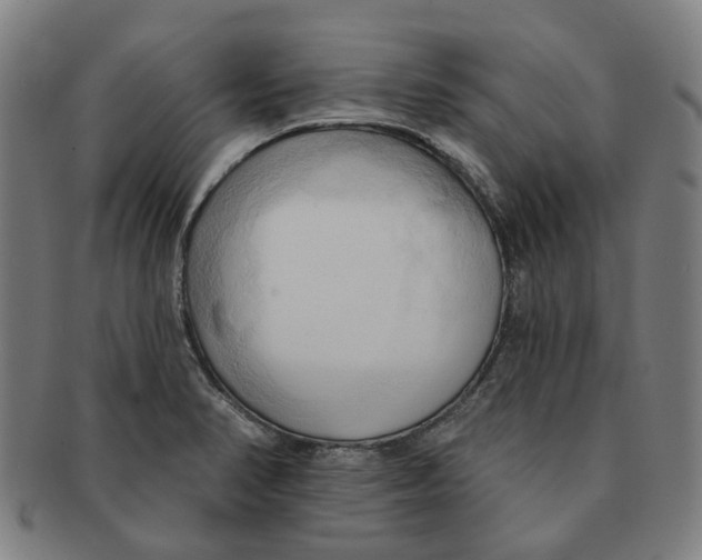 X0000090981374200708301239