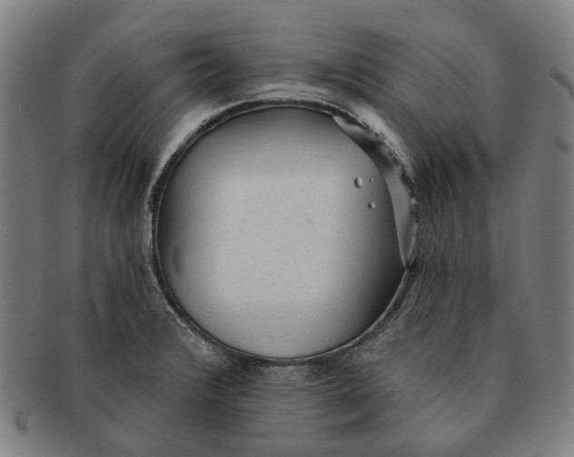 X0000090981376200708301239