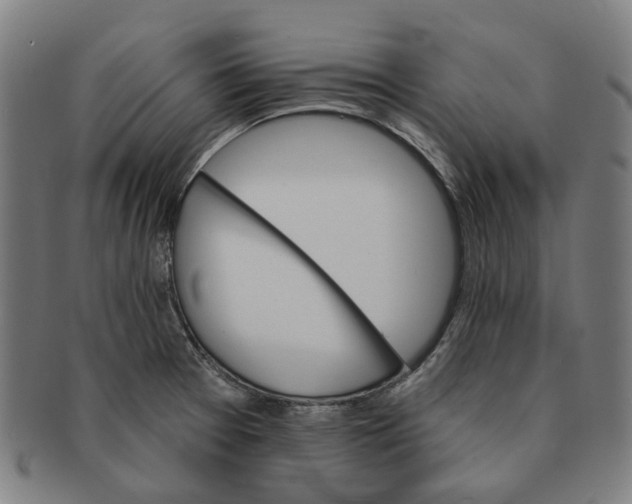 X0000090981377200708301239