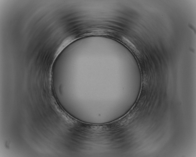 X0000090981378200708301239
