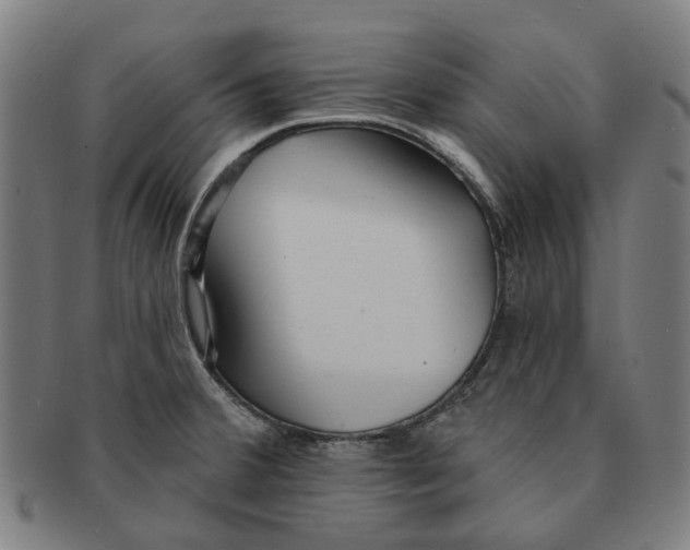X0000090981380200708301239