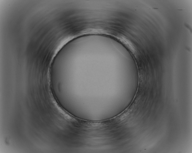 X0000090981382200708301239