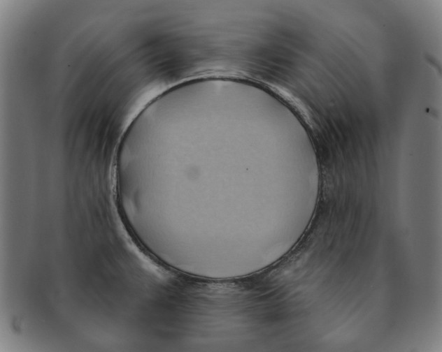 X0000090981383200708301239