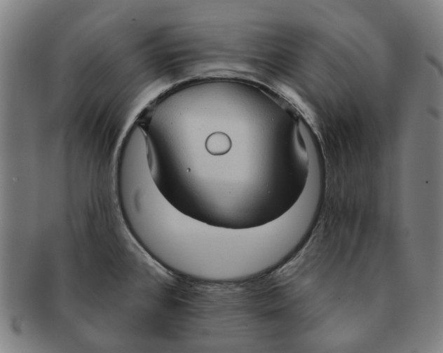 X0000090981384200708301239