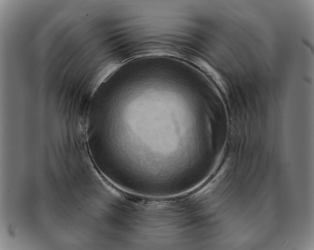 X0000090981385200708301239